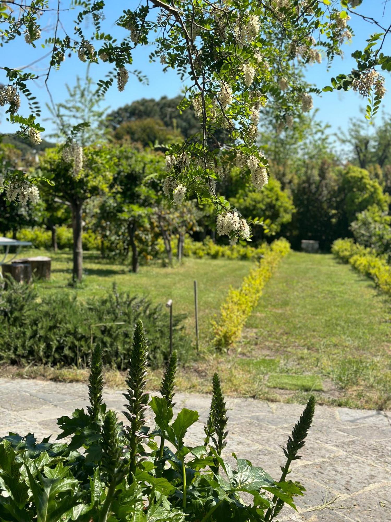 Villa De Cillis Carafa Torre del Greco Zewnętrze zdjęcie